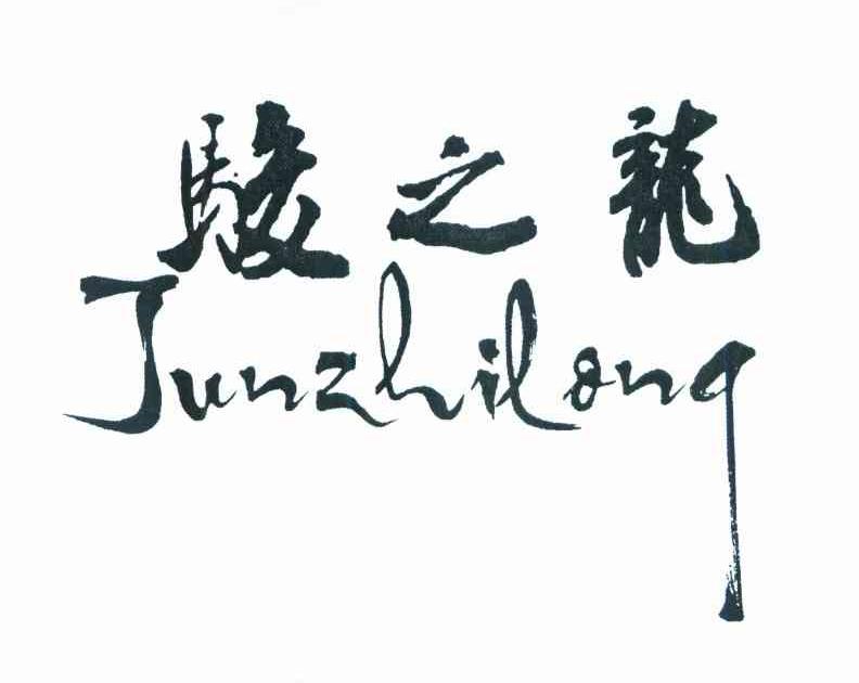 骏之龙