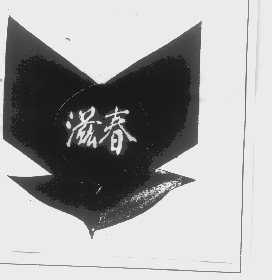 滋春