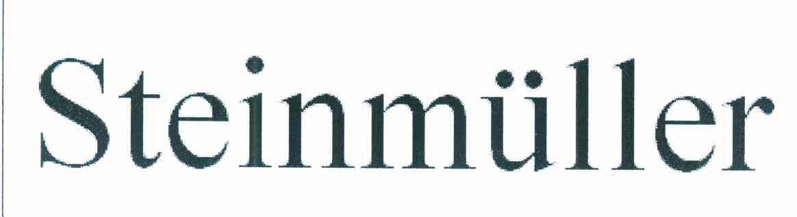 STEINMULLER