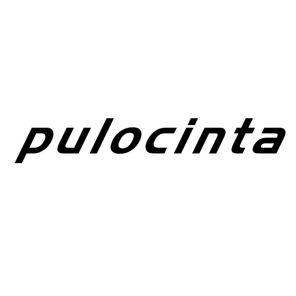 PULOCINTA