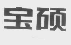 宝硕