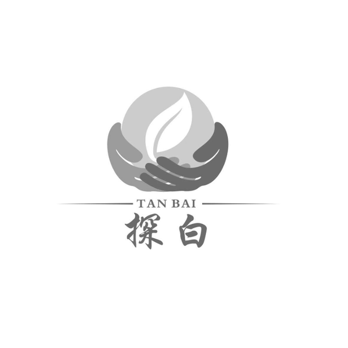探白