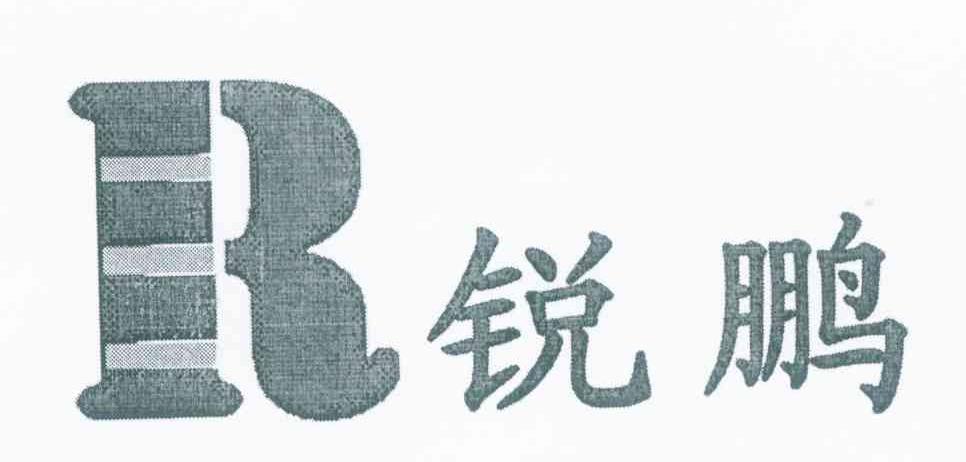 锐鹏 R