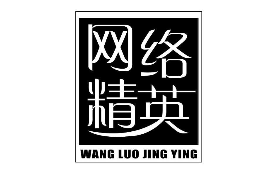 网络精英