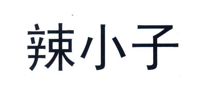 辣小子