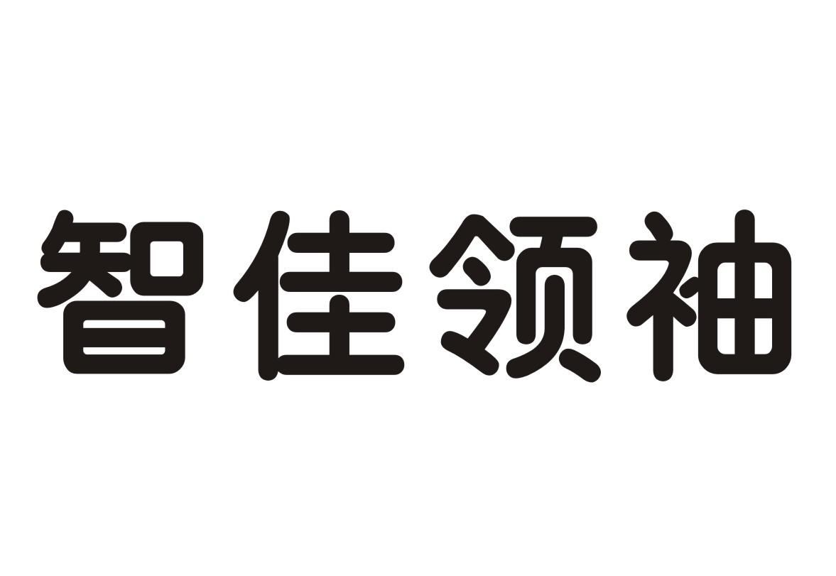 智佳领袖