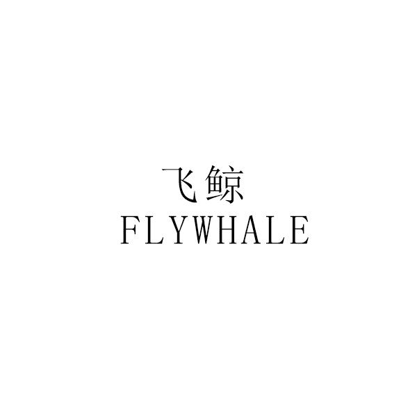 飞鲸 FLYWHALE