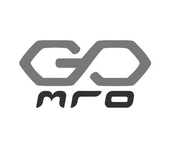 GO MRO