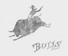BULLS