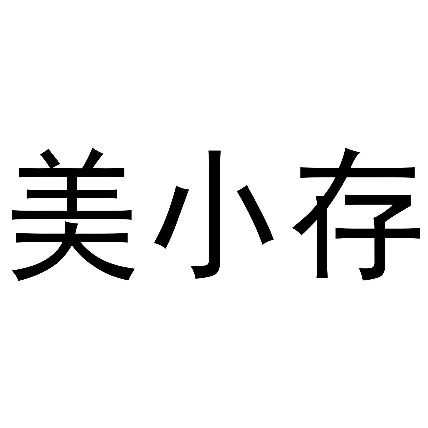 美小存