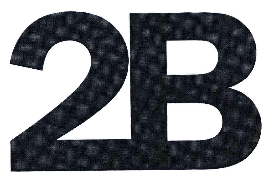 2B