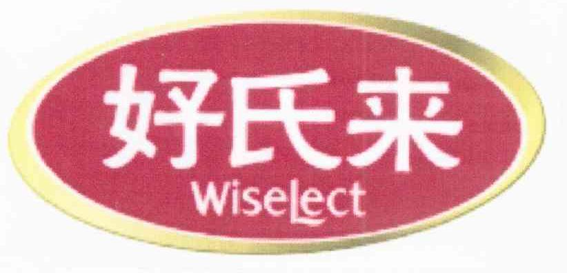 好氏来 WISELECT