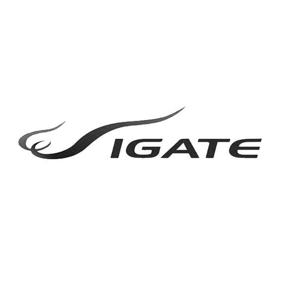 IGATE