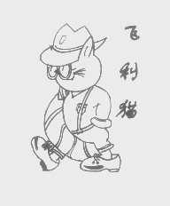 飞利猫