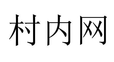 村内网