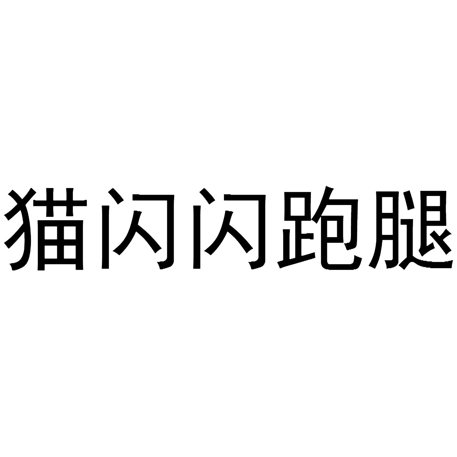 猫闪闪跑腿