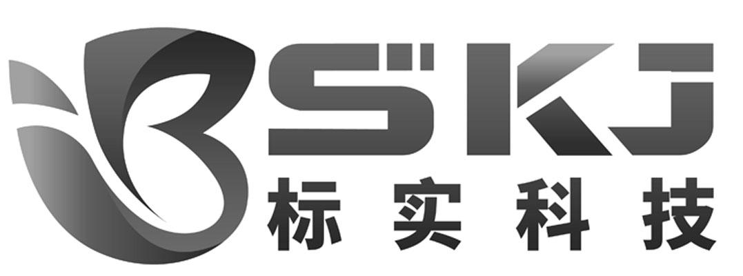标实科技 BSKJ