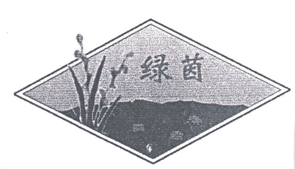 绿茵