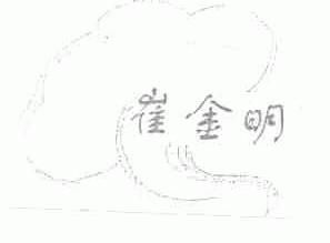 崔金明