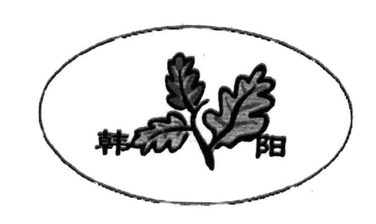 韩阳