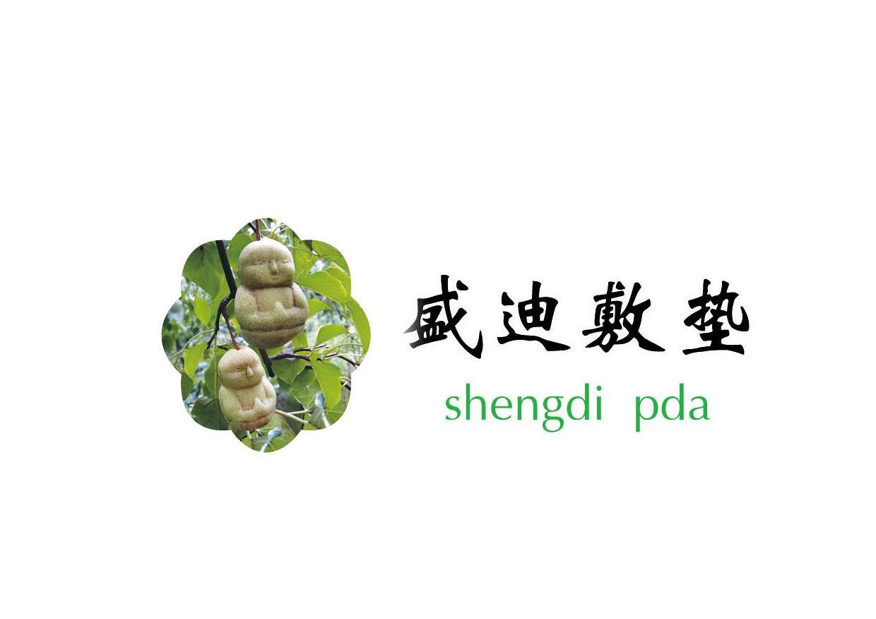 盛迪敷垫 SHENGDI PDA