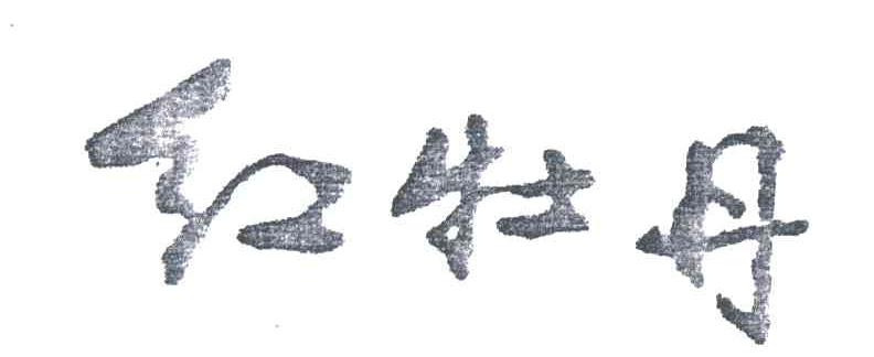 红牡丹