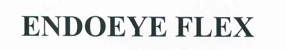 ENDOEYE FLEX