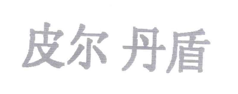 皮尔丹盾