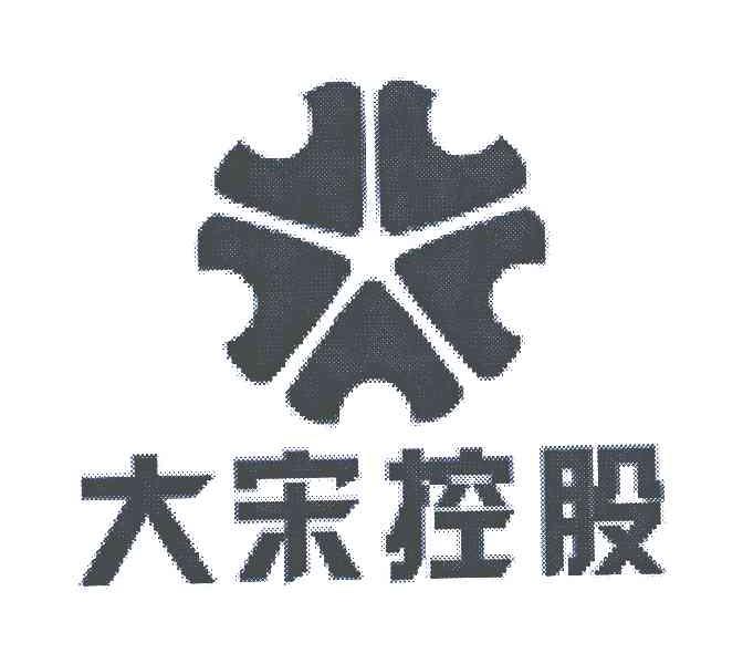 大宋控股