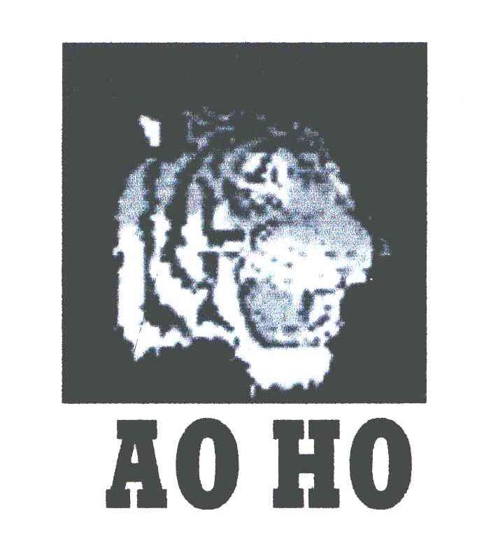 AO HO