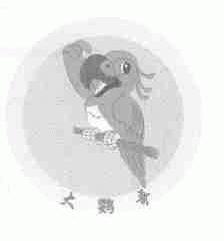 大鹦哥