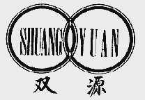 双源
