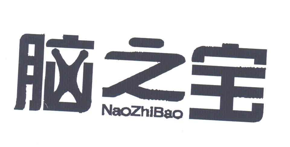 脑之宝