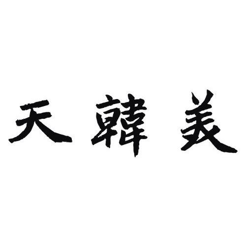 天韩美