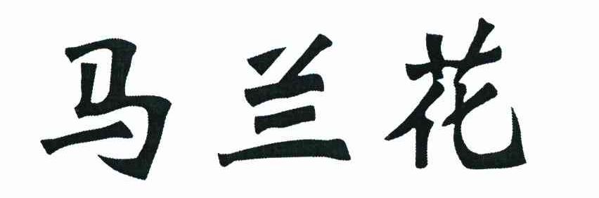 马兰花