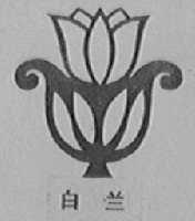 白兰
