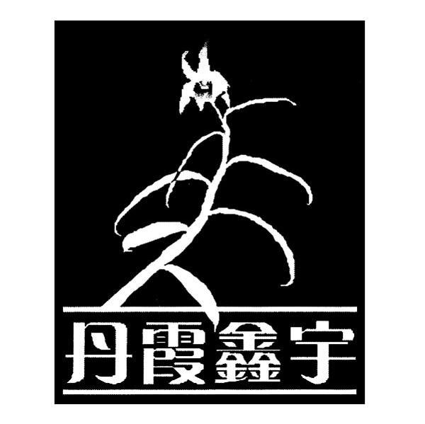 丹霞鑫宇