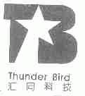 汇同;THUNDER BIRD