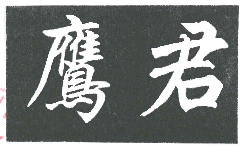 鹰君