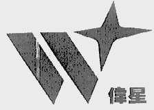 伟星