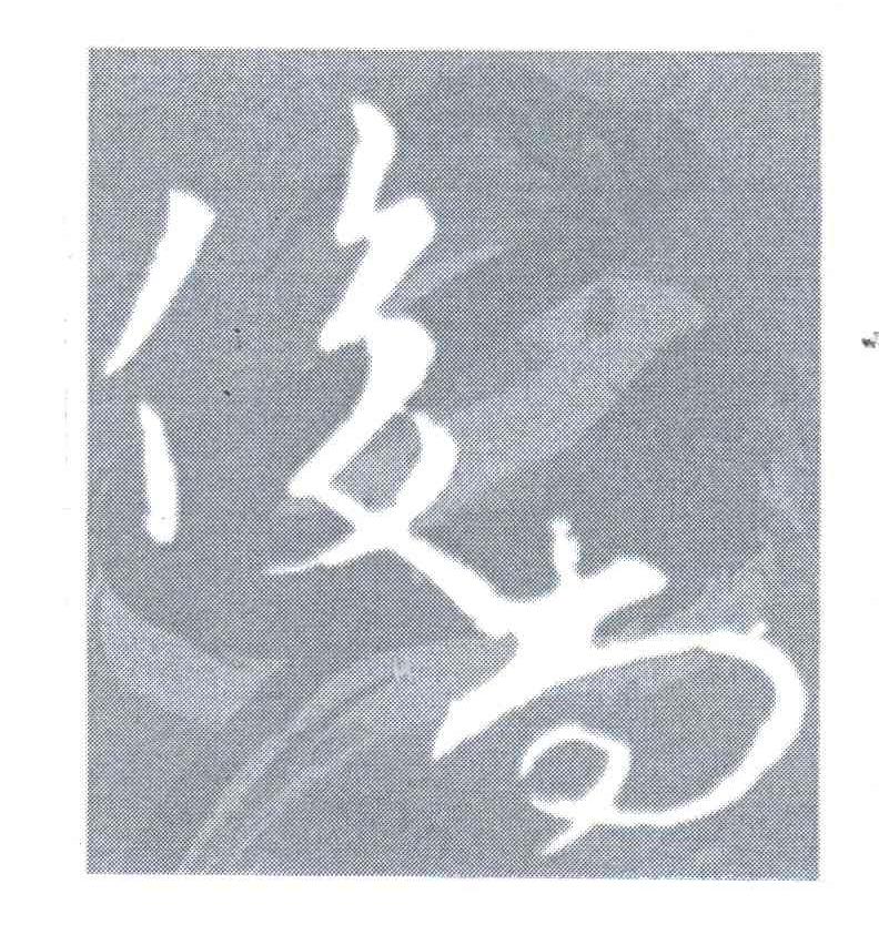 俊尚