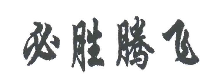 必胜腾飞