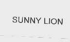 SUNNY LION
