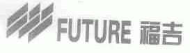 福吉;FUTURE