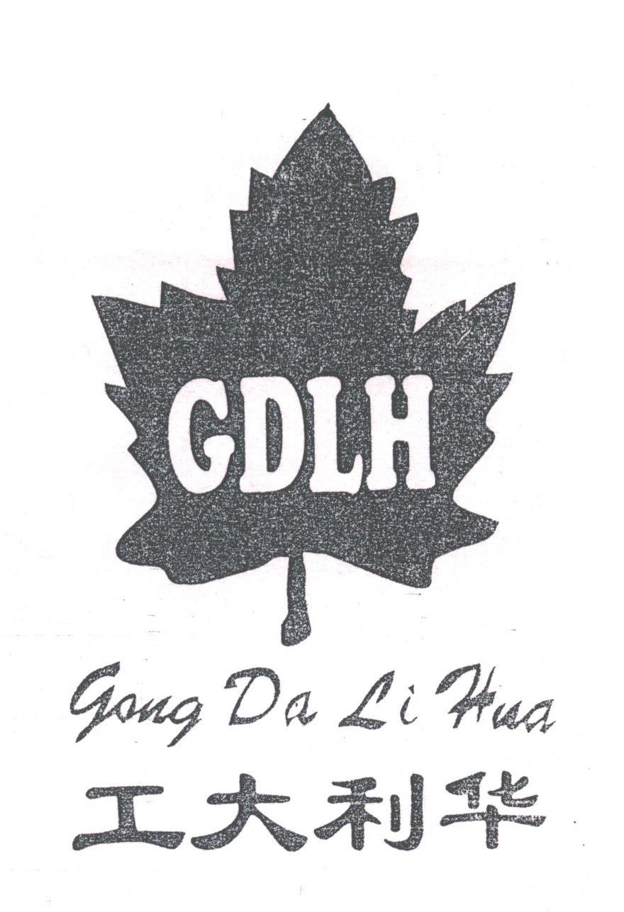 工大利华;GDLH