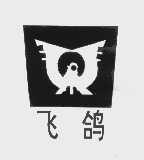 飞鸽