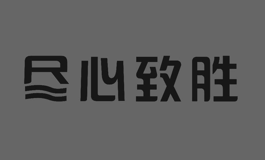尽心致胜
