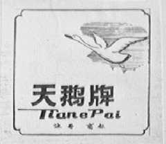 天鹅