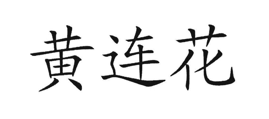黄连花
