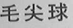 毛尖球